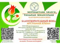 Тюльпан милосердия!