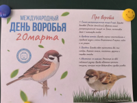 День воробья!