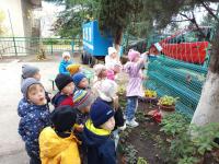 Кормушка для птиц!